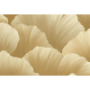 Ginkgo Ginkgo 21903