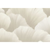 Ginkgo Ginkgo 21905