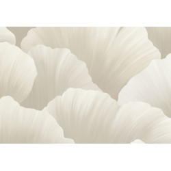 Ginkgo Ginkgo 21905