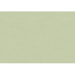 New Bali Bali 46820