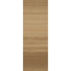 Tribu Mursi 29372