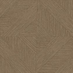 Tribu Venda 29310