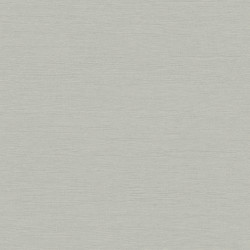 Umami Ginger 30245