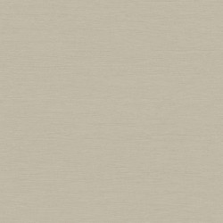Umami Ginger 30246