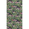 Young Traditionals Rhododendron 27825