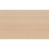 Kami Dupion 87211 Champagne