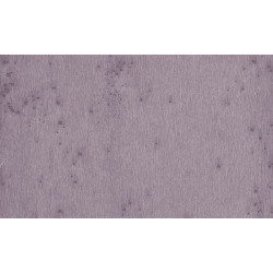 Lush Stellar 37504A