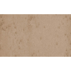 Lush Stellar 37522A