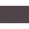 Moooi Wallcoverings Extinct Animals Dwarf Rhino MO2085 Charcoal