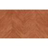 Selva Corteza 34204