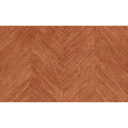 Selva Corteza 34204
