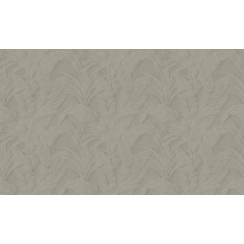 Selva Musa 75000A