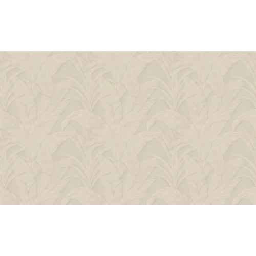 Selva Musa 75002A
