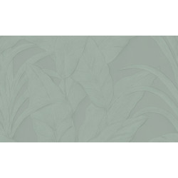 Selva Musa 75003A