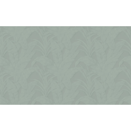 Selva Musa 75003A