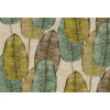 Tahiti Rubber Tree TA25081