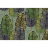 Tahiti Rubber Tree TA25083
