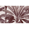 Essentials - Travellers Palmera 11141