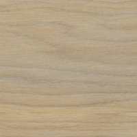 Cornsilk Cornsilk