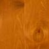 DuroGrit Foxy Brown